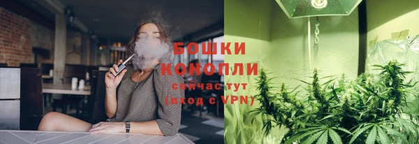 шишки Зеленодольск