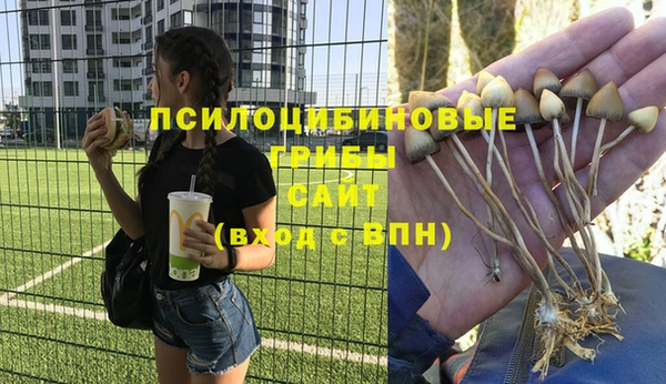 герыч Зерноград