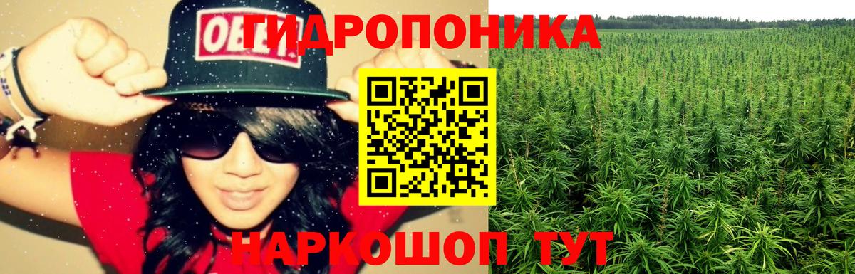 Бошки Шишки гибрид  Бошки марихуана MAZAR  Каннабис план  Вход с VPN  Ханты-Мансийск 